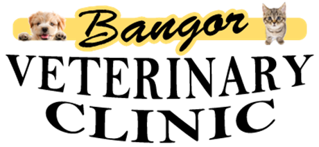 Bangor Veterinary Clinic logo