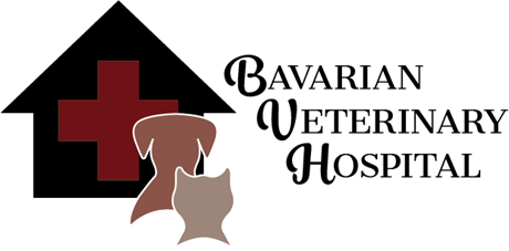 Bavarian Veterinary Hospital logo