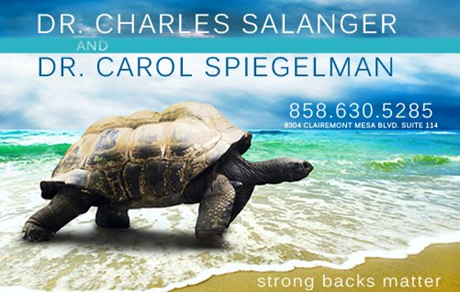 Dr. Charles Salanger Chiropractic logo