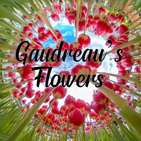 Gaudreau the Florist, LTD logo